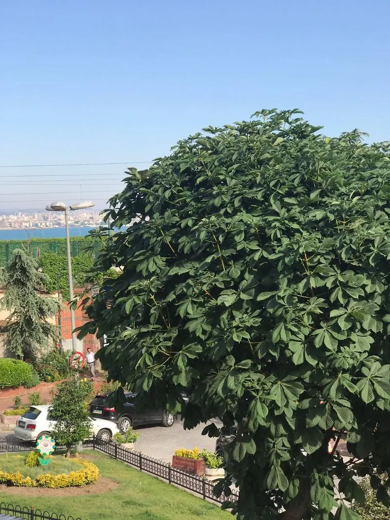 Qonaq Hotel Istanbul